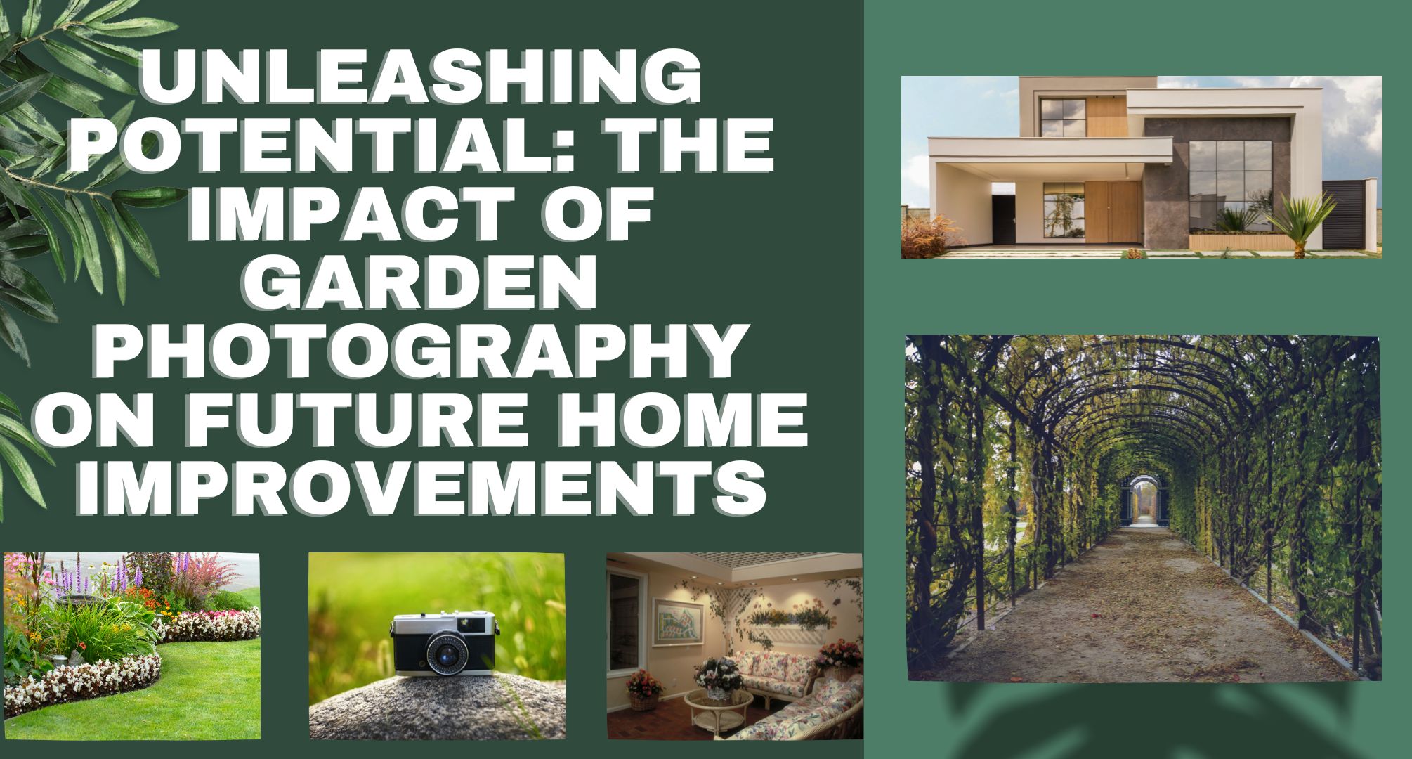 Unleashing Potential: The Impact of Garden Photography on Future Home Improvements